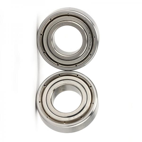 High Precision Cylinder Roller Bearings (NJ211) #1 image